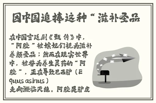 儿子耕种母亲的田地叫什么名字